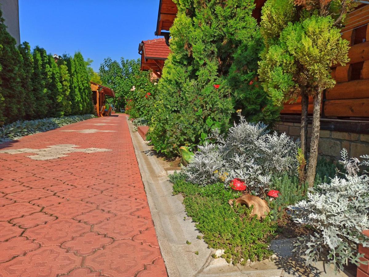 Eko Apartmani Backi Petrovac Ngoại thất bức ảnh